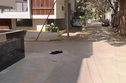 40×60 plot at royal enclave